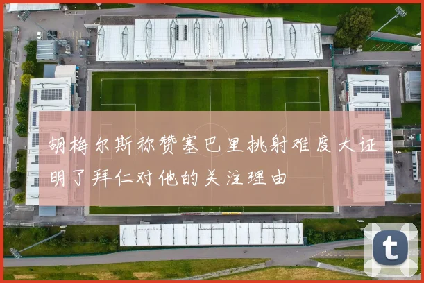 胡梅尔斯称赞塞巴里挑射难度大证明了拜仁对他的关注理由